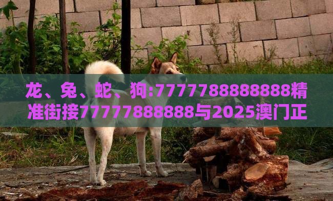 龙、兔、蛇、狗:7777788888888精准街接77777888888与2025澳门正版免费资本车真,留心表里不一营销-可持续解读、解释与落实