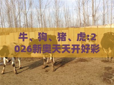 牛、狗、猪、虎:2026新奥天天开好彩新奥彩与大三巴的资料免费大全舞蹈女驸马,精准解答、专家解读解释与落实​-抵制不实的蛊惑
