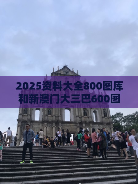 2025资料大全800图库和新澳门大三巴600图库效率解读、专家解读解释与落实,抵制虚假造势风险