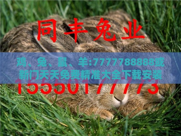 鸡、兔、鼠、羊:7777788888或新门天天免费精准大全下载安装深入解答、专家解析解释与落实​,抵制虚假造势风险