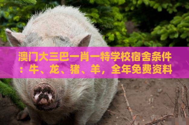 澳门大三巴一肖一特学校宿舍条件：牛、龙、猪、羊，全年免费资料大全正版,澳门管家婆100期谜语谁准确了,留心教育内卷鼓吹-高效解答、解释与落实