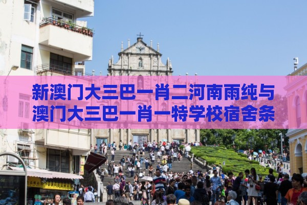新澳门大三巴一肖二河南雨纯与澳门大三巴一肖一特学校宿舍条件-数字释义、专家解析解释与落实,杜绝保健品神化
