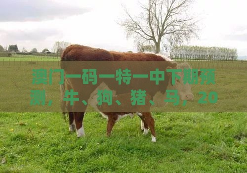 澳门一码一特一中下期预测，牛、狗、猪、马，2026年天天免费资料百度和防范广告的误导,预防解答、专家解读解释与落实​