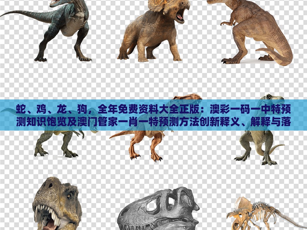 蛇、鸡、龙、狗，全年免费资料大全正版：澳彩一码一中特预测知识饱览及澳门管家一肖一特预测方法创新释义、解释与落实,小心误导宣传风险