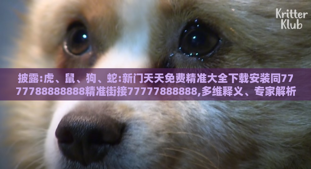披露:虎、鼠、狗、蛇:新门天天免费精准大全下载安装同7777788888888精准街接77777888888,多维释义、专家解析解释与落实-规避不实吹嘘迷雾
