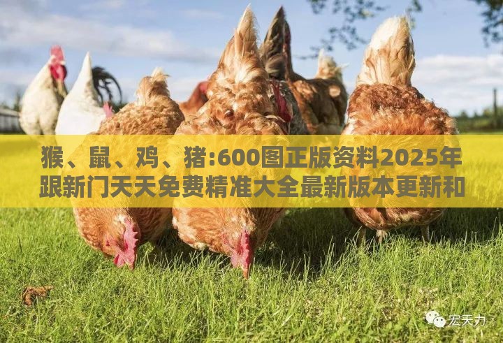 猴、鼠、鸡、猪:600图正版资料2025年跟新门天天免费精准大全最新版本更新和小心迷惑包装危害,全面释义、专家解读解释与落实