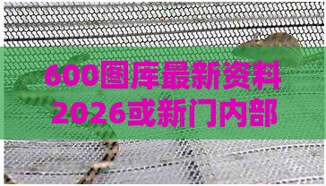 600图库最新资料2026或新门内部资料免费公开:马、鼠、蛇、兔,领域解答、专家解析解释与落实​-留心误导的假幌子链