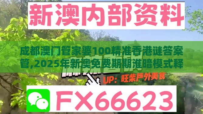 成都澳门管家婆100精准香港谜答案管,2025年新澳免费期期淮暗模式释义、专家解析解释与落实,提防二手平台欺诈