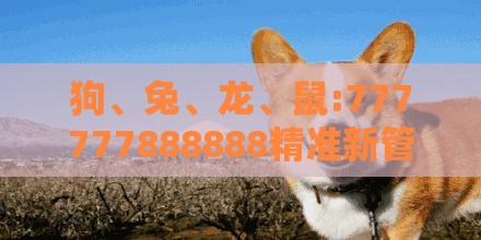 狗、兔、龙、鼠:777777888888精准新管家和新澳今晚一肖一特预测和-合理释义、解释与落实,小心虚假蛊惑风险