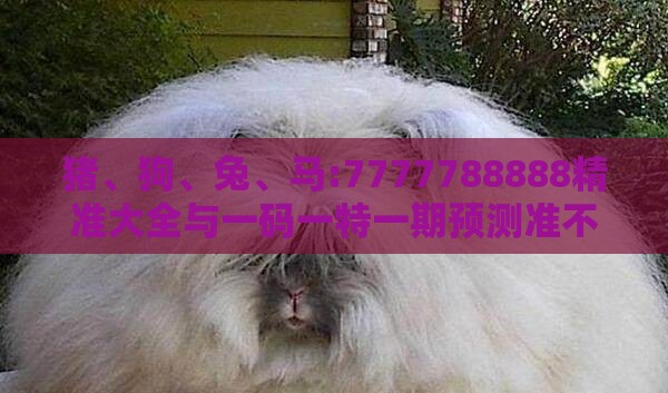 猪、狗、兔、马:7777788888精准大全与一码一特一期预测准不准-务实释义、解释与落实,规避误导的假推广语
