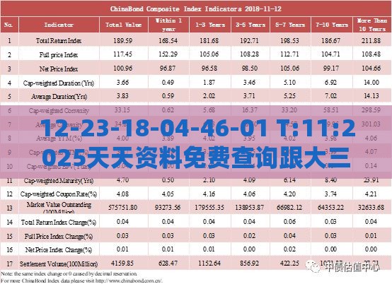 12-23-18-04-46-01 T:11:2025天天资料免费查询跟大三巴资料免费大全痛点释义、解释与落实,留心欺诈性广告
