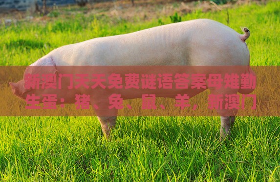 新澳门天天免费谜语答案母雉勤生蛋：猪、兔、鼠、羊，新澳门今晚开一肖预测,大三巴一肖一码一特一中虎归山4.24618c-精准解答、解释与落实,抵制欺骗承诺套路