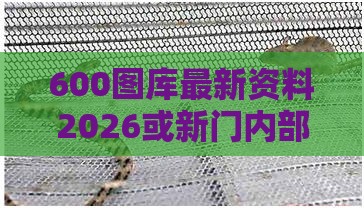 600图库最新资料2026或新门内部资料免费公开:马、鼠、蛇、兔:创意解答、专家解析解释与落实​,警惕虚假的假广告云