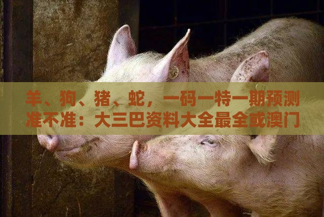 羊、狗、猪、蛇，一码一特一期预测准不准：大三巴资料大全最全或澳门一肖一特一中往期预测-前沿释义、专家解读解释与落实​,拒绝空洞无物承诺